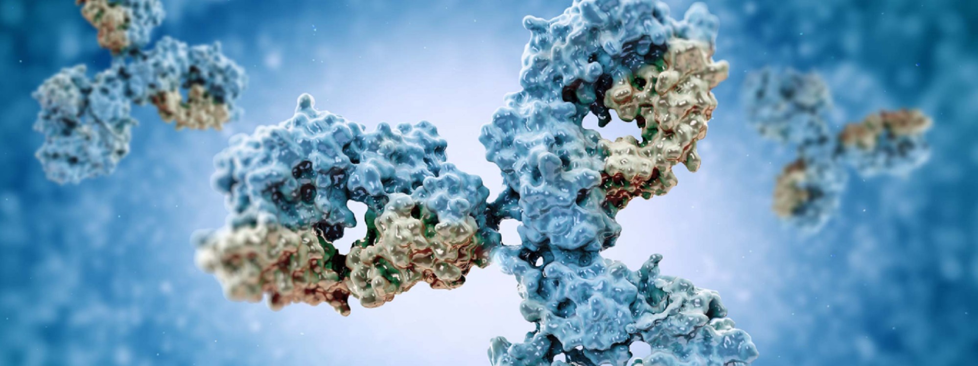 基于5’RACE和Miseq平臺的抗體基因全長快速測序